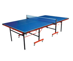 NoNova TT 2008 Euro