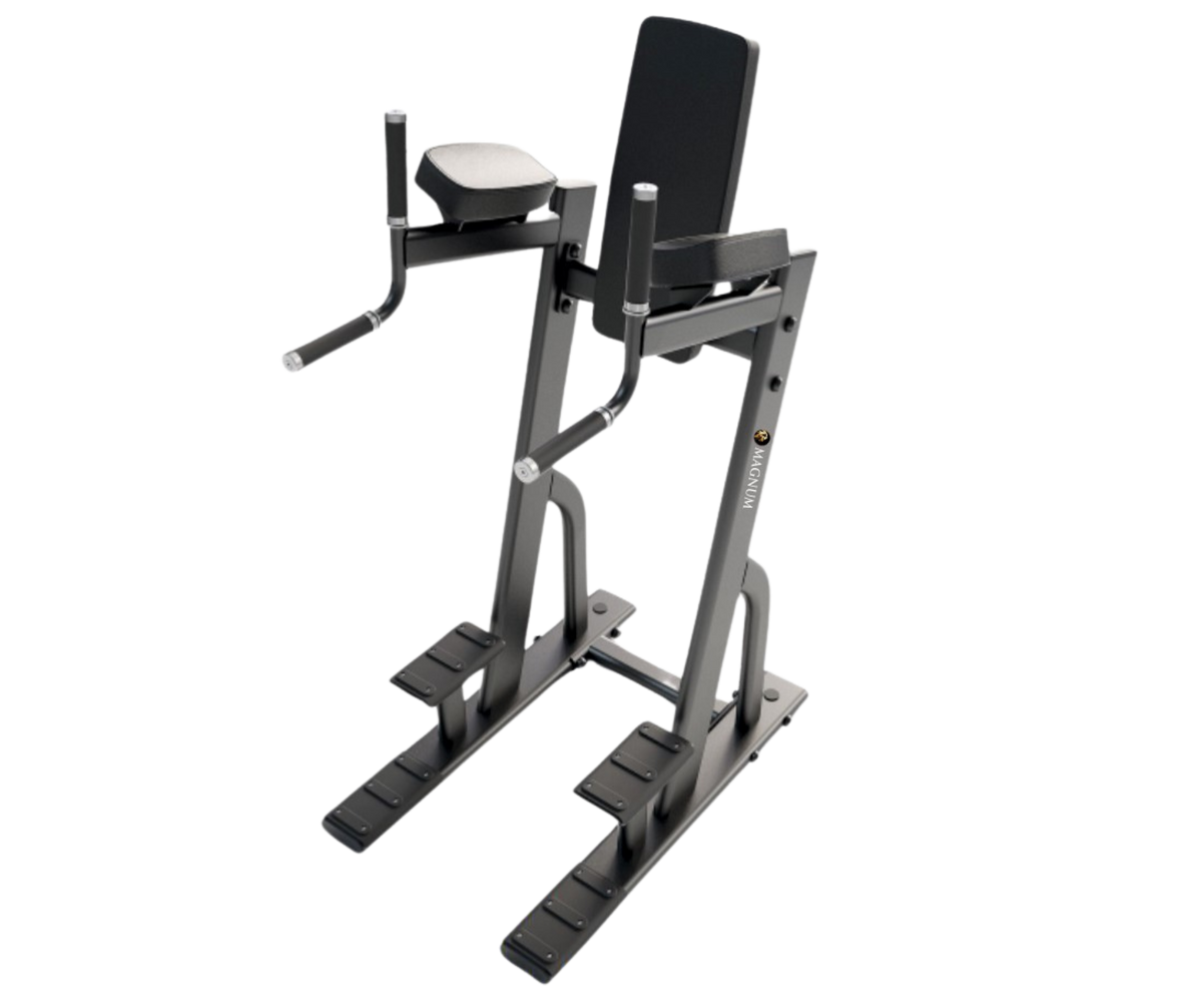 Magnum Vertical Knee Raise / Dip Station
