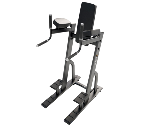 Magnum Vertical Knee Raise / Dip Station