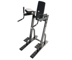Magnum Vertical Knee Raise / Dip Station