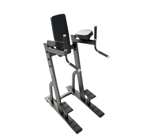 Magnum Vertical Knee Raise / Dip Station