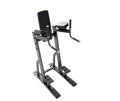 Magnum Vertical Knee Raise / Dip Station