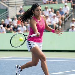 Phillips Hybrid Pro ( Tennis String)